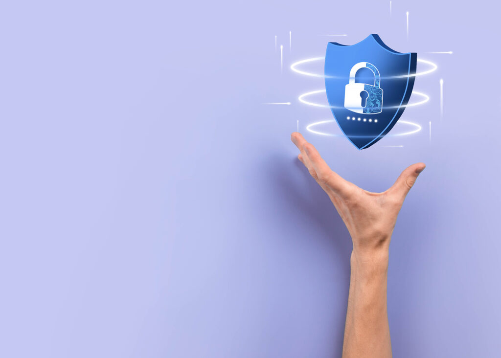 system ips - bezpieczna infrastruktura it