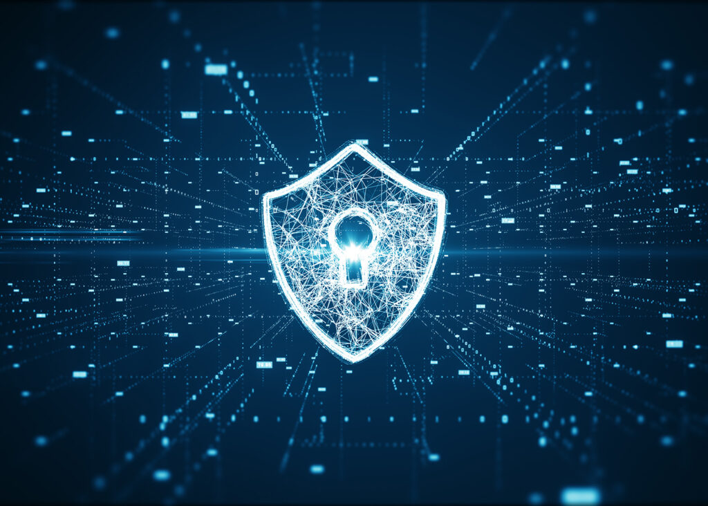 bezpieczeństwo sieci LAN, integracja firewall z siecią LAN, Zero Trust network